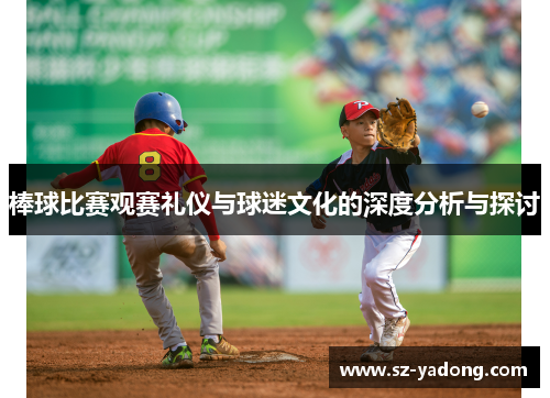 棒球比赛观赛礼仪与球迷文化的深度分析与探讨