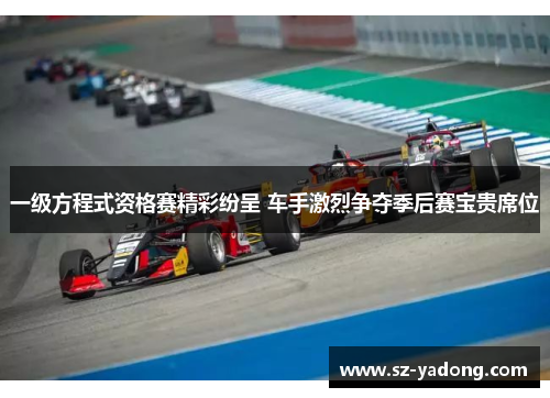 一级方程式资格赛精彩纷呈 车手激烈争夺季后赛宝贵席位
